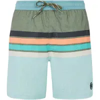 Protest Herren Badeshorts PRTAvik