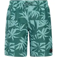 Protest William Badeshorts