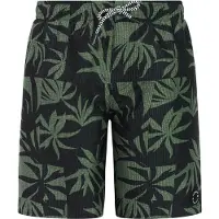 Protest William Badeshorts