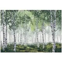 WALLARENA FOTOTAPETE 3D Effekt Wald Birken Bäume Tapete Wohnzimmer 150x105