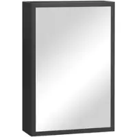OKWISH Wandmontierter Spiegelschrank aus Stahl in Schwarz, 40x15x60 cm, mit Frontspiegel und 3 Fächern