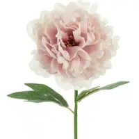 Party Deco 24x Künstliche Blume - Pfingstrose, 35 cm, blassrosa