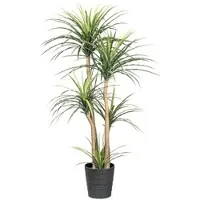 Creativ Green künstliche Pflanze Dracaena, ca 160cm