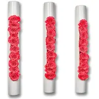 Flowerbox 3er-Set Infinity-Bloom bigTube - weiß/hellrot - 65x7,5 cm