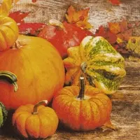 Home Fashion , Pumpkins, Lunch-Servietten aufgefaltetes Maß 33 cm x 33 cm, im Viertelfalz, 20 Stück pro Pack, 12 Pack pro Karton
