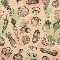 Home Fashion , Veggies, Lunch-Servietten aufgefaltetes Maß 33 cm x 33 cm, im Viertelfalz, 20 Stück pro Pack, 12 Pack pro Karton
