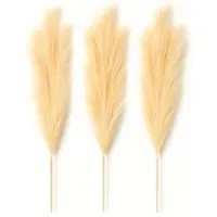 Layba Künstliches Pampasgras (100 cm) – 3er Set in Creme - Beige