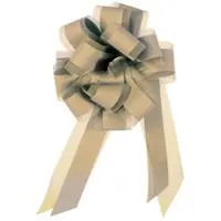Roth Star Ziehschleife mit Tüll weiß 10er Box Ø19cm