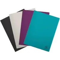 Exacompta 85740E 12x Sichtmappe A4 aus mittelstarkem Recycling-PP, 40 Hüllen, TitanFarben sortiert