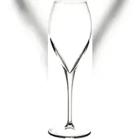 Pasabahce Satz von 6 Flötenkelchen Montecarlo, Glas Transparent, Cl 13,5