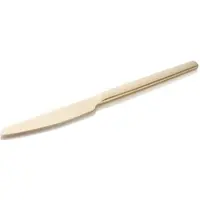 WAS Germany - Menümesser Set ALEX CHAMPAGNE, mit champagner, matter PVD Beschichtung, 23 cm, Set á 12 Stück, Chromstahl 13/0