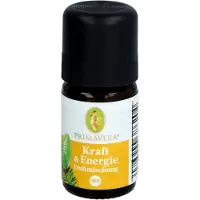 Primavera Life GmbH Kraft & Energie Duftmischung Bio 5 ml