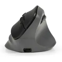 BakkerElkhuizen PRF Pro mouse Right, rechts, Vertikale Ausführung, Optisch, RF Wireless + Bluetooth + USB Type-C, 2400 DPI, Schwarz, Grau