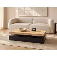 Vente-unique Couchtisch mit 2 Schubladen - MDF - Schwarz & Holzfarben hell - FELIX