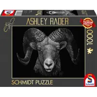 Schmidt Spiele 58540, Junge/Mädchen, Mehrfarbig, Junge/Mädchen