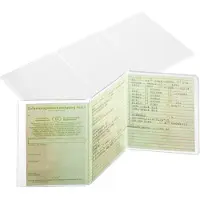 Durable Ausweishüllen, Maße: L 105 x B 210 mm, für Kfz-Scheine, 10 Stück