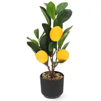 Décoris Künstlicher Zitronenbaum 27cm im Topf Kunstpflanze Zitronenbäumchen Topfpflanze Zitrone Frühlingsdeko Osterdeko Sommerdeko Zitruspflanze Gelb Grün