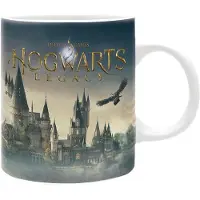 Harry Potter Hogwarts Legacy puodelis – Schloss (320 ml)