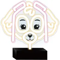 Spin Master Neon LED Ständer Paw Patrol - Skye Kinderlampe OW-120546