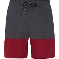 Protest Badeshorts Prtfreddie Herren Red Sangria-L