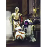 Komar Fototapete "STAR WARS Three Droids - Größe 184 x 254 cm" bedruckt glatt Kinderzimmer