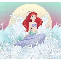 Overig Vliestapete "Digitaldruck Vlies - Ariel Rise - Größe 300 x 280 cm" bedruckt glatt Kinderzimmer