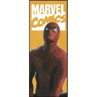 Overig Vliestapete "Digitaldruck Vlies - Spider-Man Comic - Größe 100 x 250 cm" bedruckt glatt Kinderzimmer