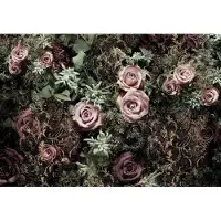 Komar Fototapete "Velvet - Größe 368 x 254 cm" bedruckt glatt Wohnzimmer, Schlafzimmer