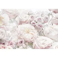 Komar Fototapete "Spring Roses - Größe 368 x 254 cm" bedruckt glatt Wohnzimmer, Schlafzimmer