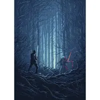 Overig Vliestapete "Digitaldruck Vlies - Star Wars Wood Fight - Größe 200 x 280 cm" bedruckt glatt Kinderzimmer