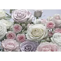 Komar Fototapete "Floraison - Größe 368 x 254 cm" bedruckt glatt Wohnzimmer, Schlafzimmer