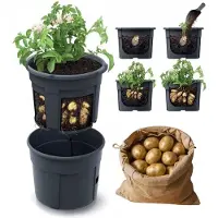 Prosperplast Potatoes 39.2x39.2x31.6 Cm Blumentopf