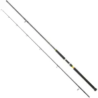 Daiwa Legalis Shore Jiggingrute