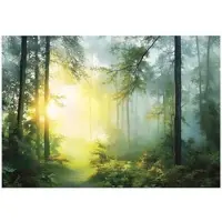 WALLARENA FOTOTAPETE 3D Effekt Wald Sonne Wohnzimmer 350x250