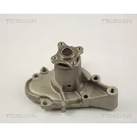 TRISCAN Wasserpumpe 8600 43002