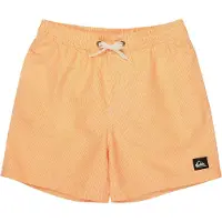 Quiksilver Everyday Deluxe Volley 14´´ Badeshorts