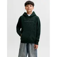 Jack & Jones Logo Kapuzenpullover Boys
