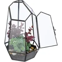 Relaxdays Pflanzenterrarium
