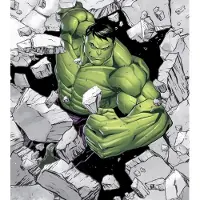 Overig Vliestapete "Digitaldruck Vlies - Hulk Breaker - Größe 250 x 280 cm" bedruckt glatt Kinderzimmer