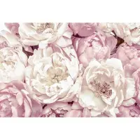 Komar Vliestapete "Vlies - Peonies - Größe 368 x 248 cm" bedruckt glatt Wohnzimmer, Schlafzimmer