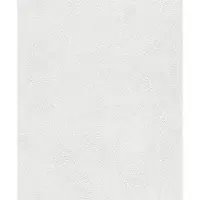 Rasch Vliestapete 173413 Wallton überstreichbares uni weiß 10,05 x 0,53 m GLO769057474
