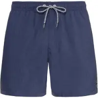 Protest Herren Badeshorts DAVEY beachshort