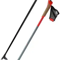 Rossignol Force 5 Stöcke