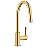 Dornbracht 33870809-28 EHM Pull-down mit Brausefunktion VAIA