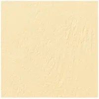 GBC LeatherGrain Umschlagmaterial