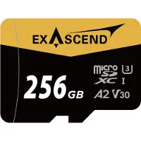 EXASCEND Microsd Uhs-i V30 Catalyst 256gb Speicherkarte