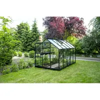 Halls Gewächshaus Popular 106 Blankglas 3 mm 193 x 319 cm schwarz
