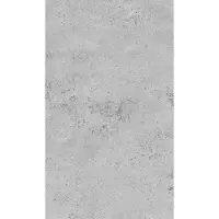 Schöner Wohnen Wandverkleidung, Aluminium, LxBxH: 150x3x255 cm, grau