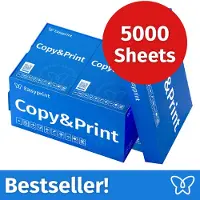 Easyprint Druckerpapier Kopierpapier 5000 Blatt (10x500) DIN A4 Premium Hochweiß CIE 160 PEFC zertifiziert