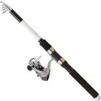 Daiwa Sensor Tele+q830fm Spinn-kombo Schwarz 1.80 m / 20-60 g Schwarz 1.80 m